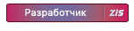 Разработчик