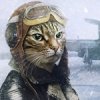 Накрутка ПФ - спецпредложение - последнее сообщение от Nadoeda
