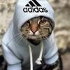 Нужен Дизайнер Редактор Работа в фотошопе - последнее сообщение от Likeboss